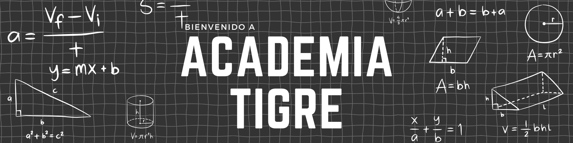 Portada de la academia tigre